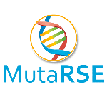 Responsabilidad Social Corporativa y Sustentabilidad